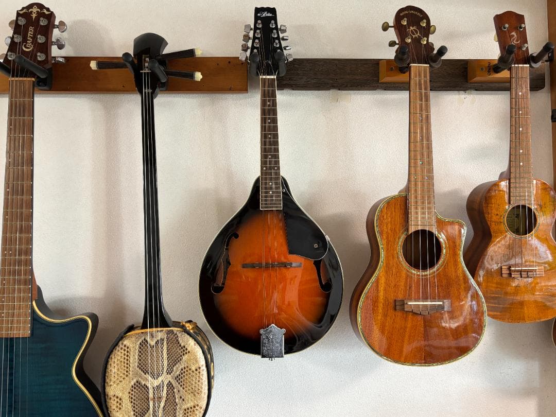 【美品と思います】Aria AM-20 マンドリン　ハードケース付き　送料無料