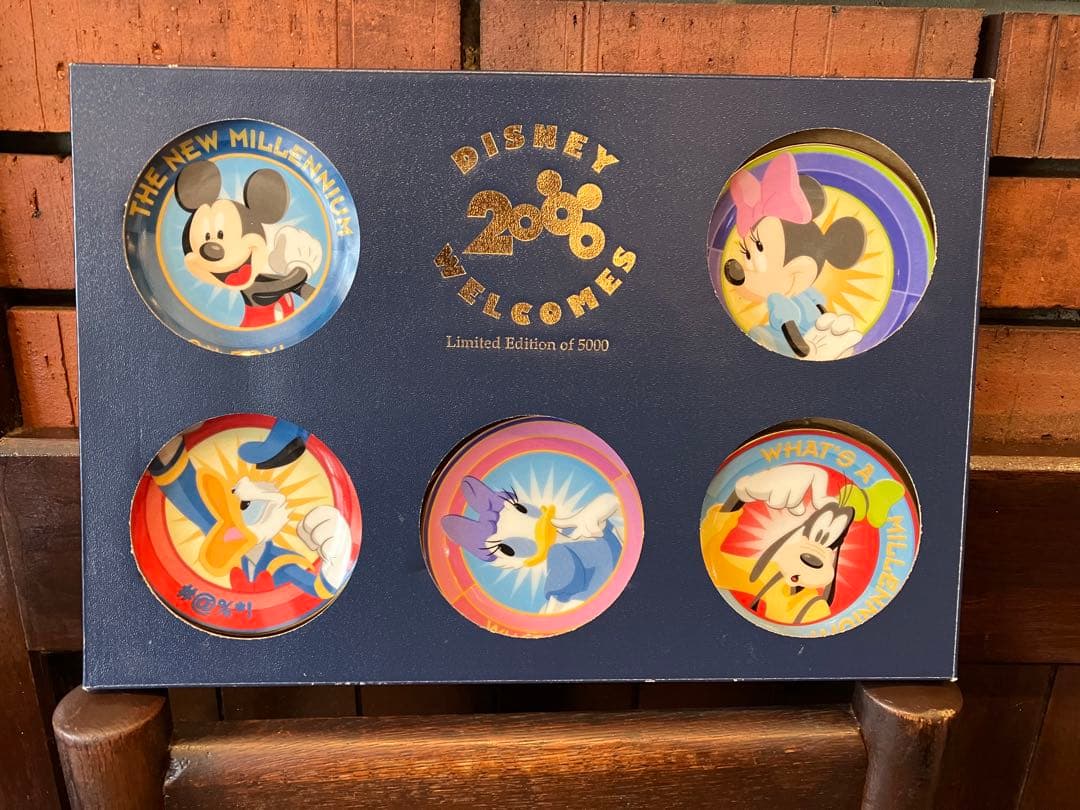 2000年限定ミッキー　ミニー　ドナルド　デイジー　ぐーふぃー　プルート　絵皿