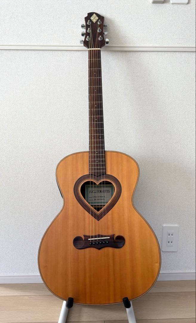 ポ*ズ様 【再出品】希少ケース付／ゼマイティス CAG-100HW-E アコギ