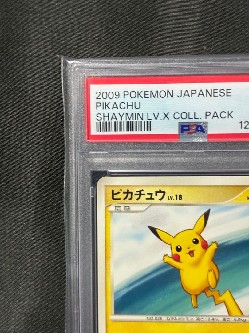 世界60枚 PSA10 ピカチュウ LV.18 2009 007 28