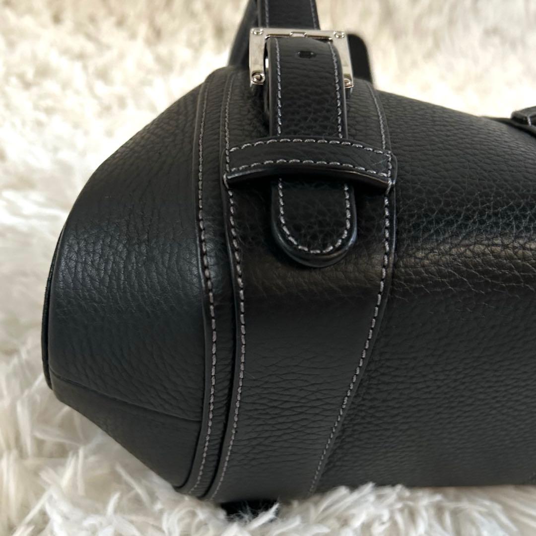 レア＊未使用級✨ロエベ ハンドバッグ センダ シボ革 レザー 肩掛け可 黒