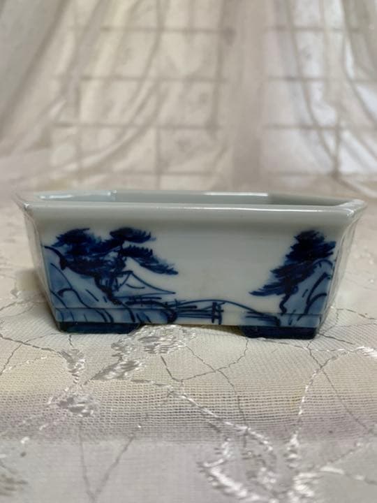 磯山4点セット　人気鉢