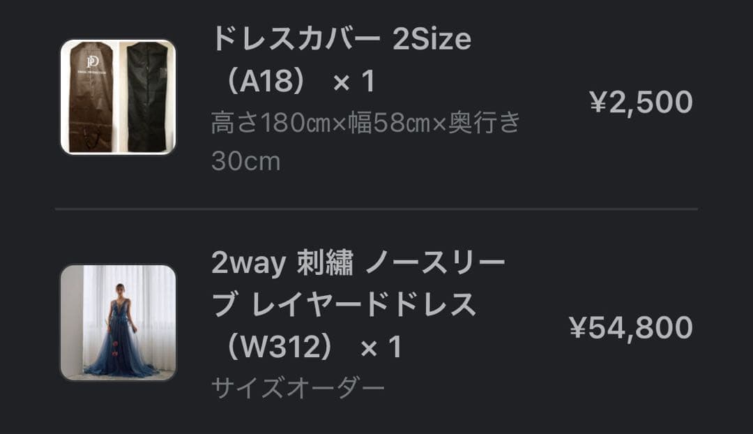 2way 刺繡 ノースリーブ レイヤードドレス（W312） ドレスカバー付き