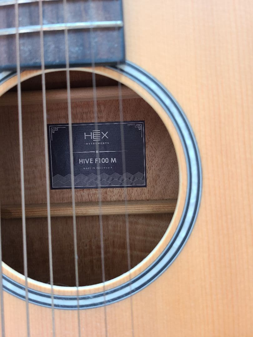 アコースティックギター HEX F100 M ケース付き 美品