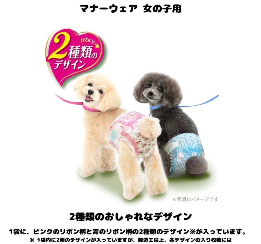 ユニ・チャーム マナーウェア【SSSサイズ】 42枚入12袋⭐︎まとめ買いお得