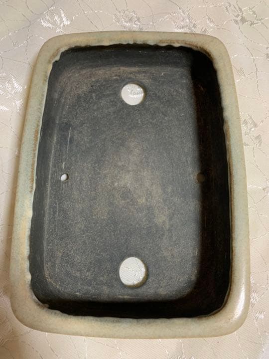 鴻陽　やや大きめ　盆栽鉢