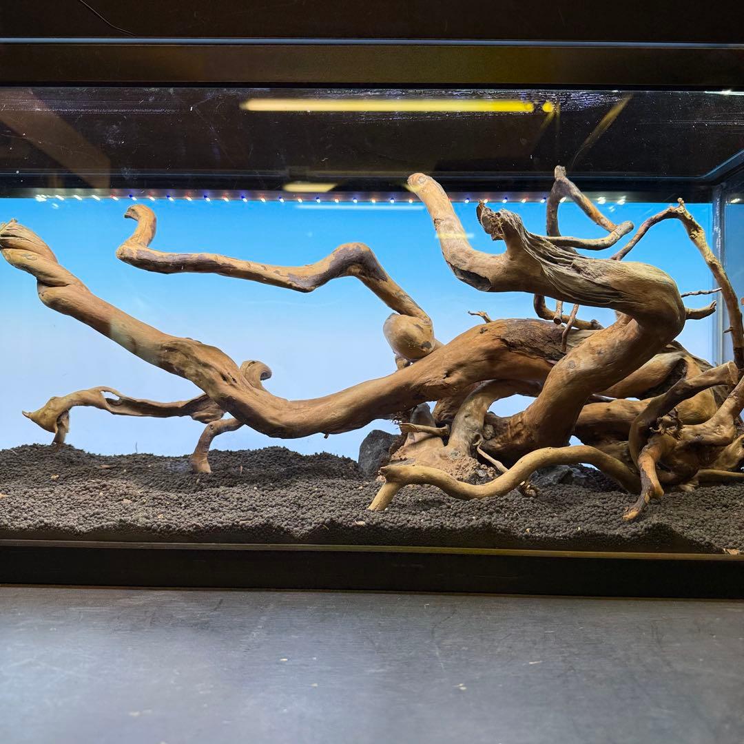 MDW-7146 ブランチウッドレイアウトセット　90cm水槽用流木　枝流木