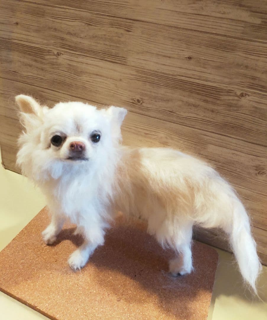 羊毛フェルト　ハンドメイド　犬　チワワ