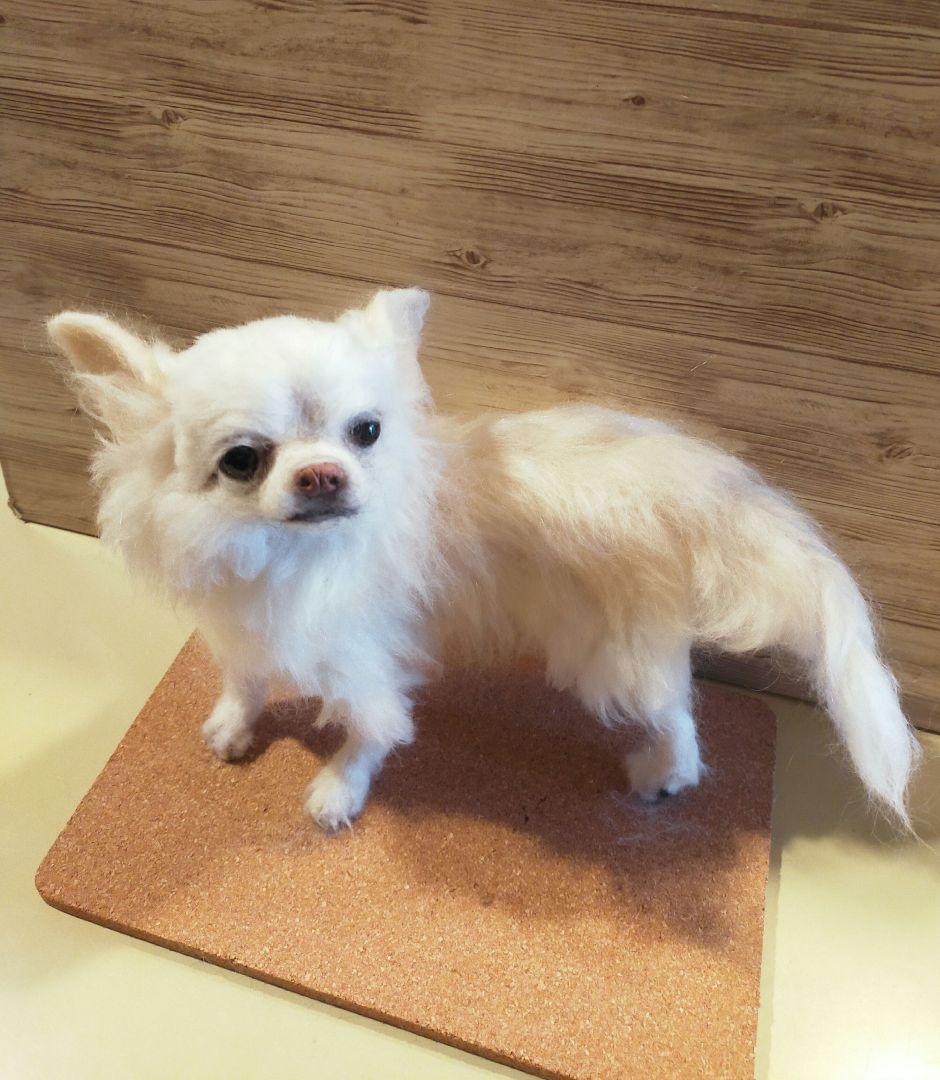 羊毛フェルト　ハンドメイド　犬　チワワ