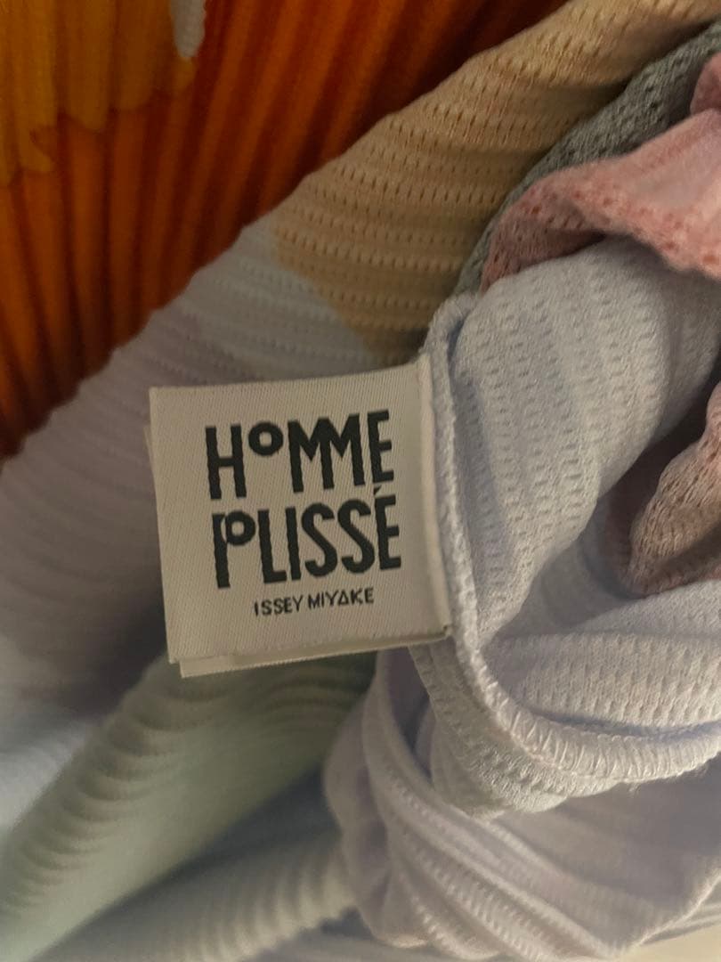 トップス Homme Plisse 24ss picturesque