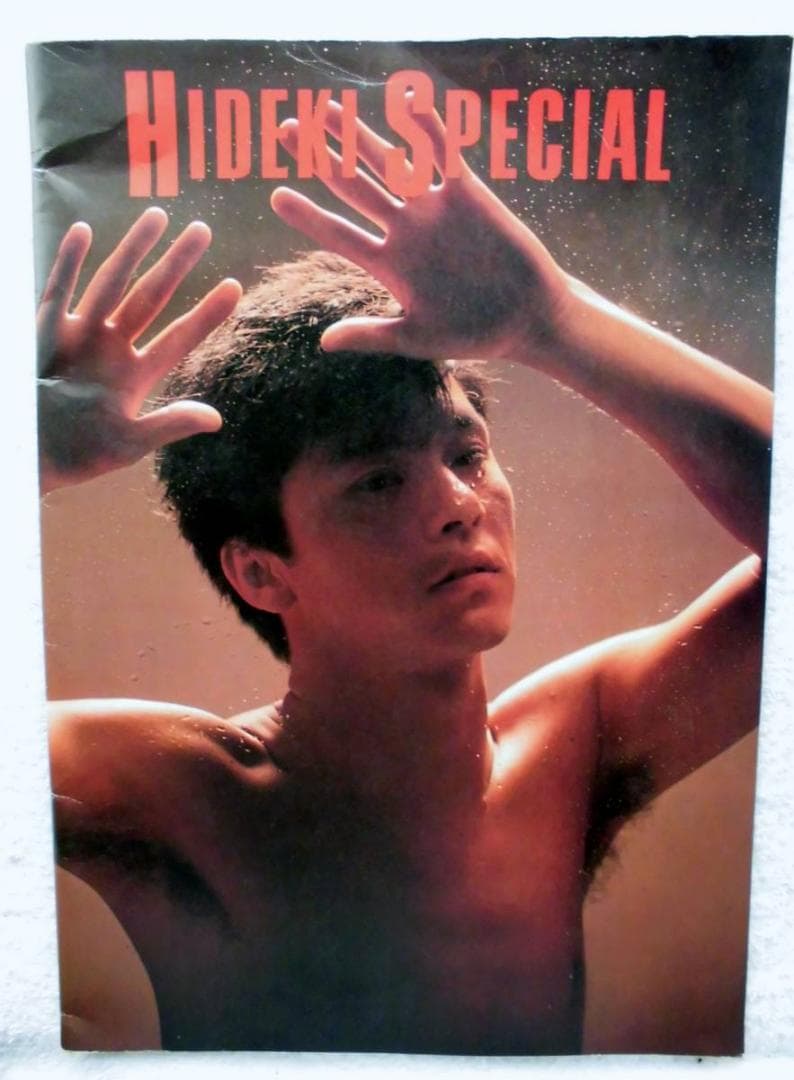 西城秀樹 コンサートリサイタルパンフレット  １０冊セット