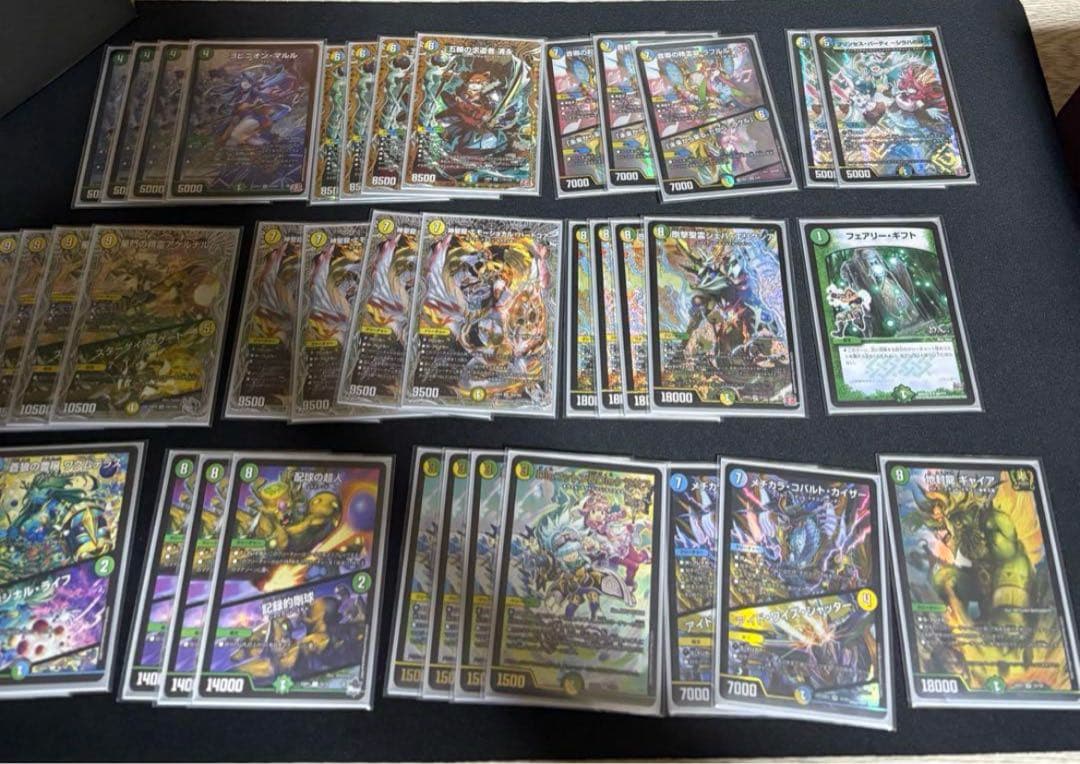 トリーヴァ清永 デッキ マルル