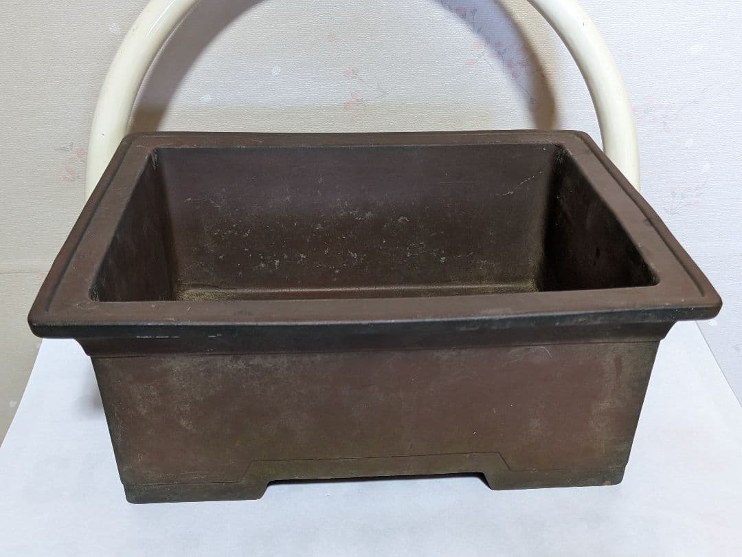 ♦紫砂 紫泥 盆栽鉢 美術品 ？志那鉢 中国鉢 コレクション 骨董品アンティーク