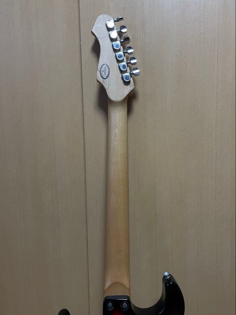 Line 6 Variax600　本体+ケース