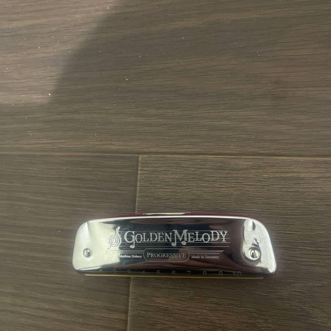 フェン Buy3S M.Hohner ゴールデンメロディ 10本セット