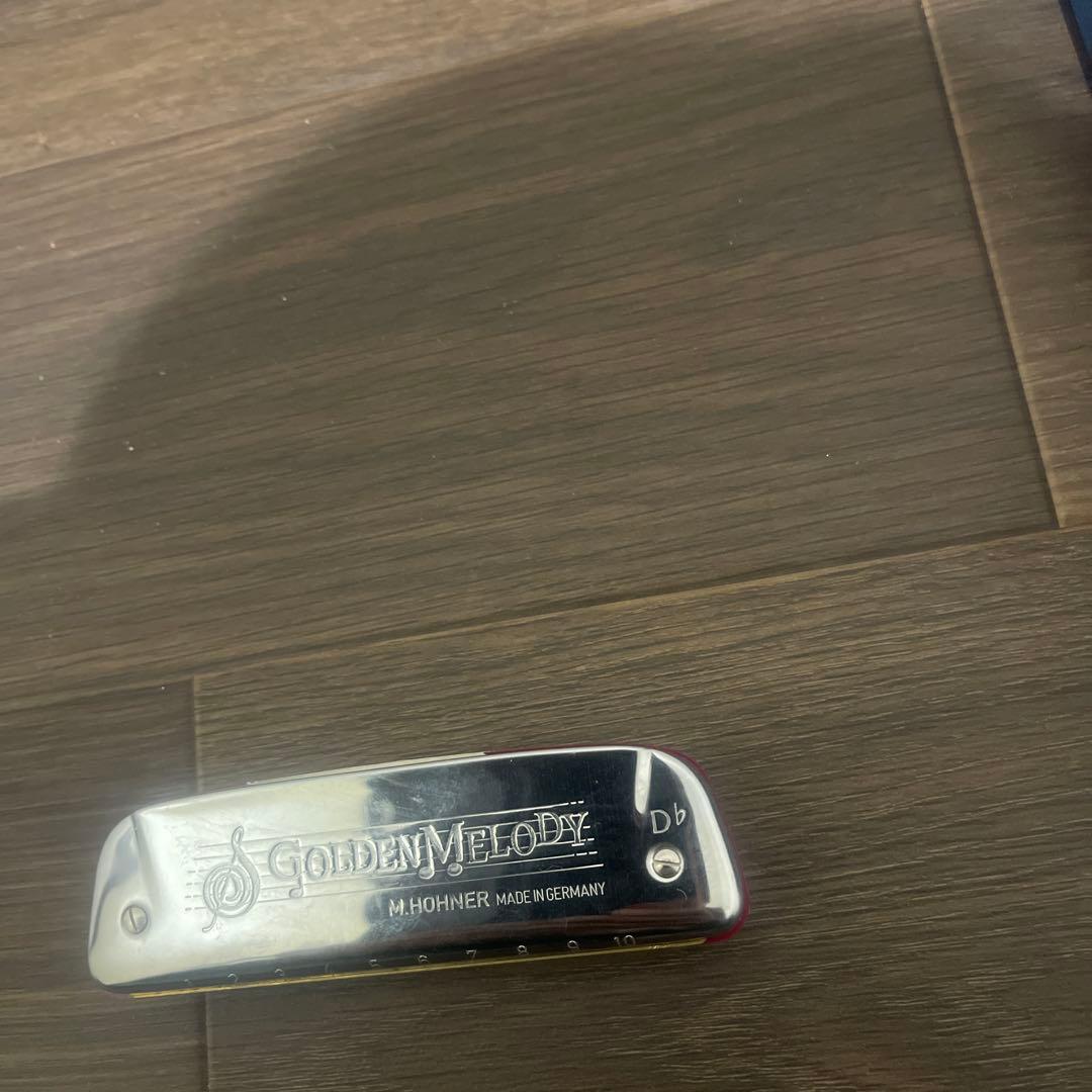 フェン Buy3S M.Hohner ゴールデンメロディ 10本セット