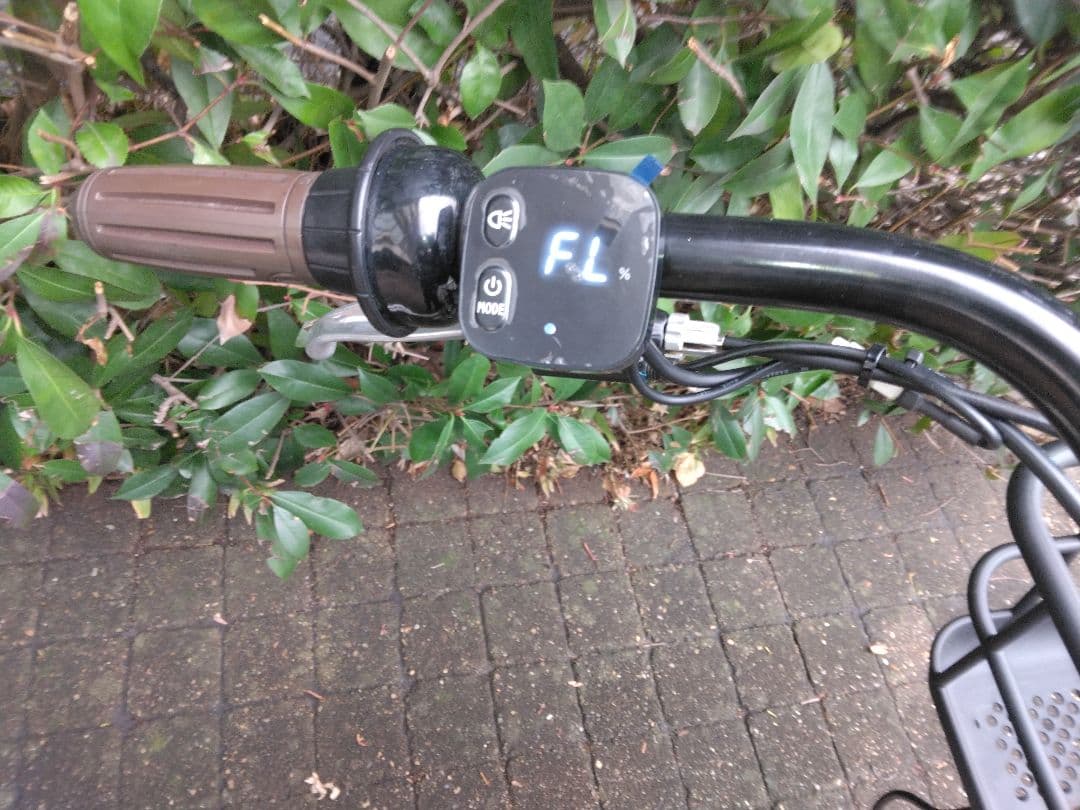 値引き不可　BRIDGESTONE ビッケモブdd　2021年モデル