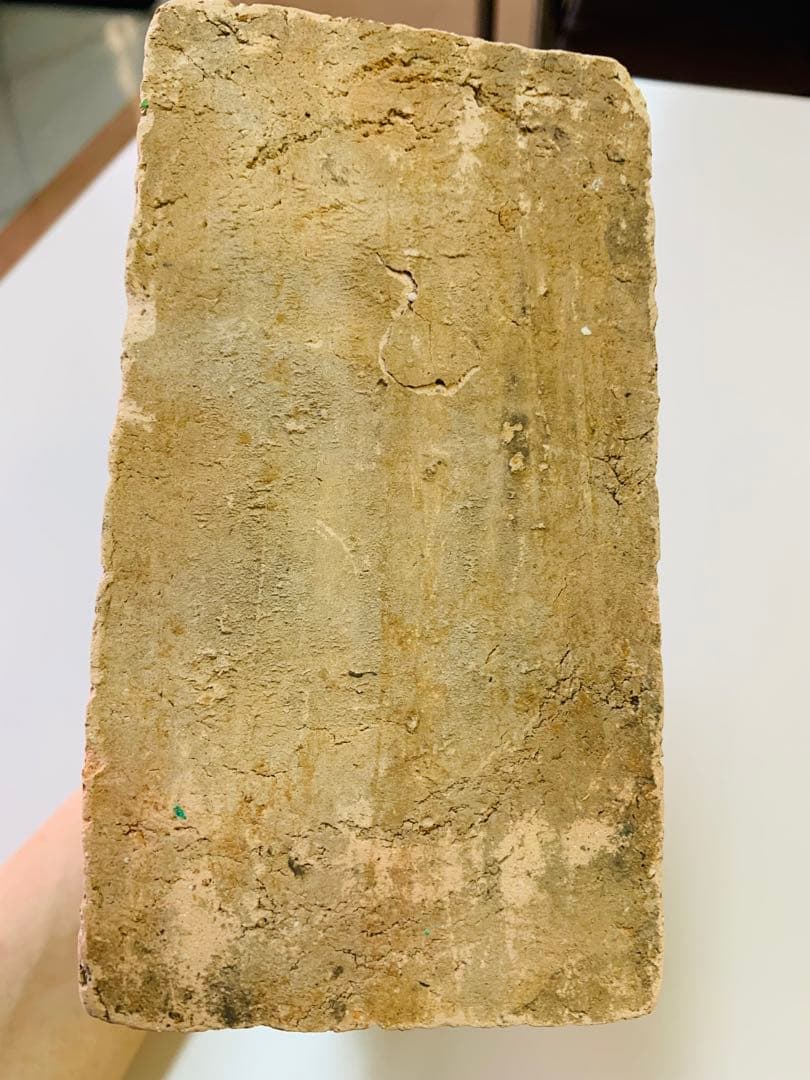 中国唐時代三彩馬像