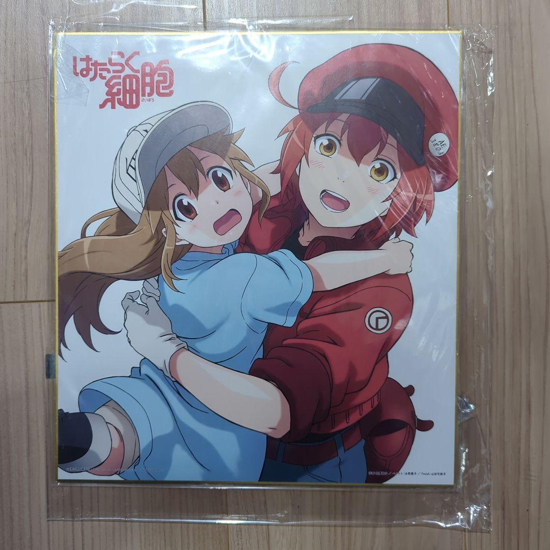 はたらく細胞 赤血球血小板 描き下ろしイラスト色紙