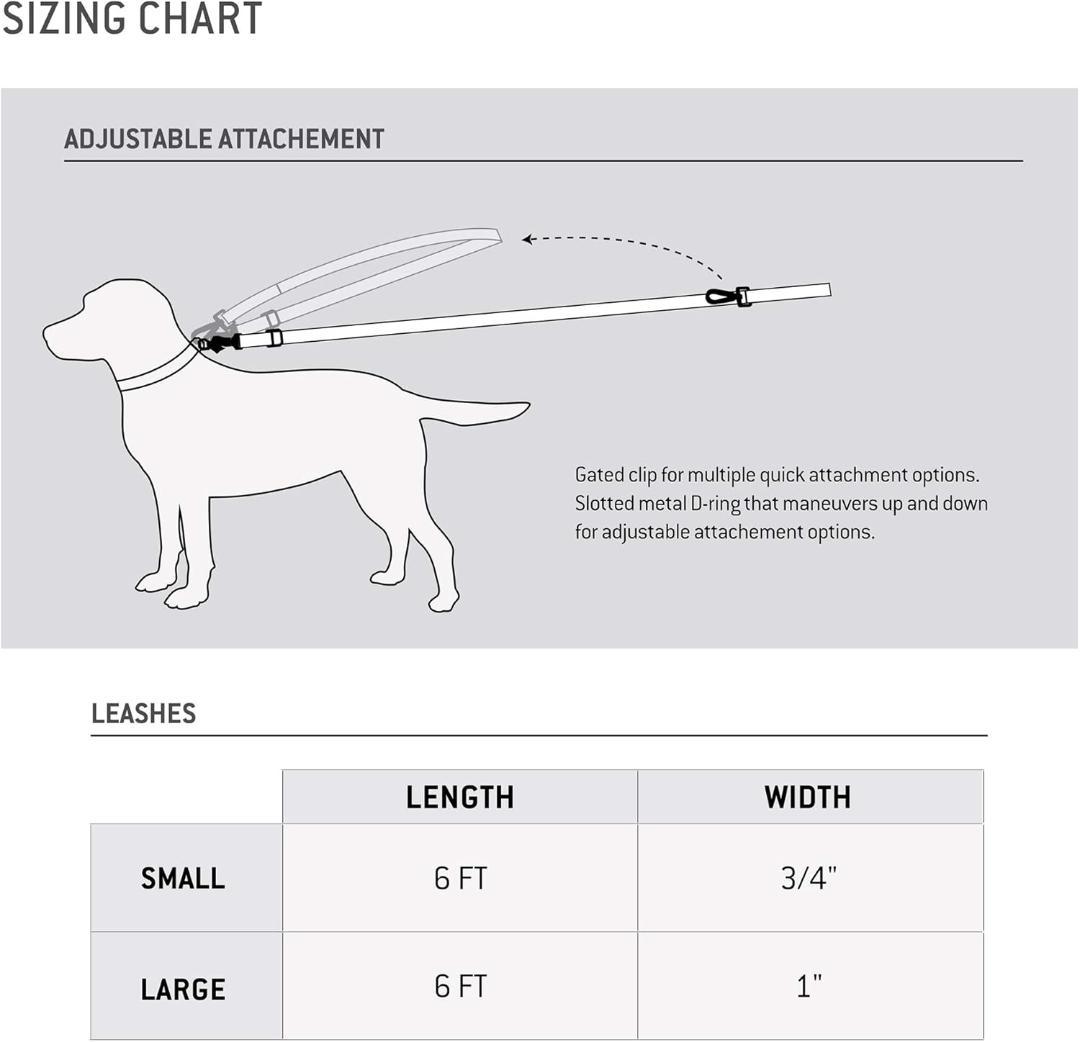 【NEW】Carhartt カーハート 犬用リーシュ＆首輪セット L 赤ワイン