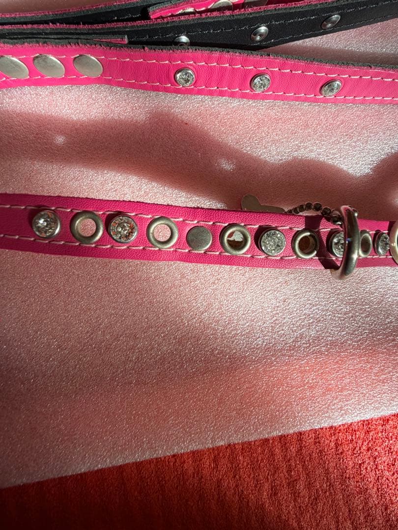 バディベルト ピンク ハーネス・胴輪セット