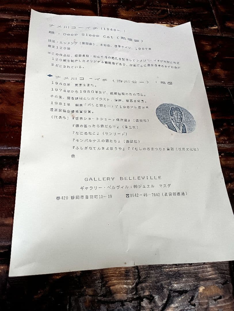 銅版画　ナメ川コーイチ　滑川公一　手彩色　直筆サイン　限定　イラストレーター　猫