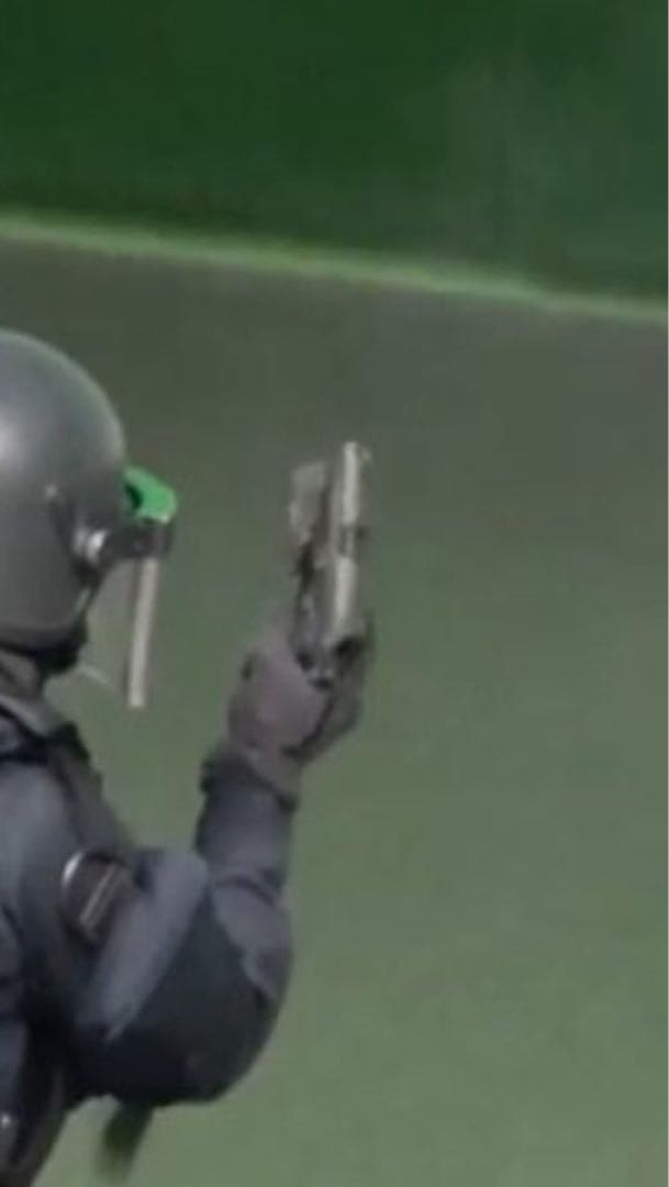 インサイト INSIGHT M3X LED（警視庁・神奈川県警特殊部隊SAT）