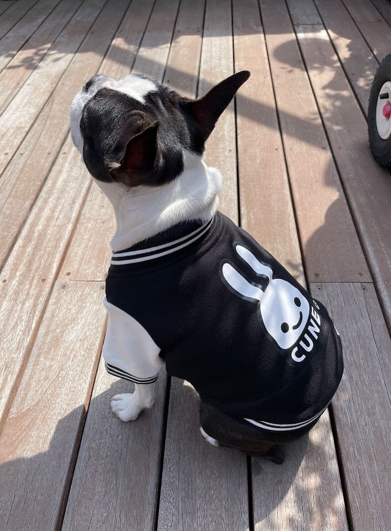 小型犬のスウェットスタジャン 黒