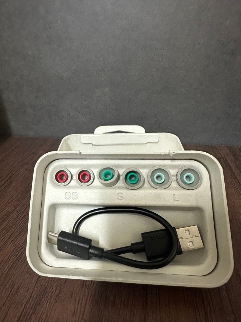 SONY WF-1000XM5 (イヤホン 片方、右側のみ)