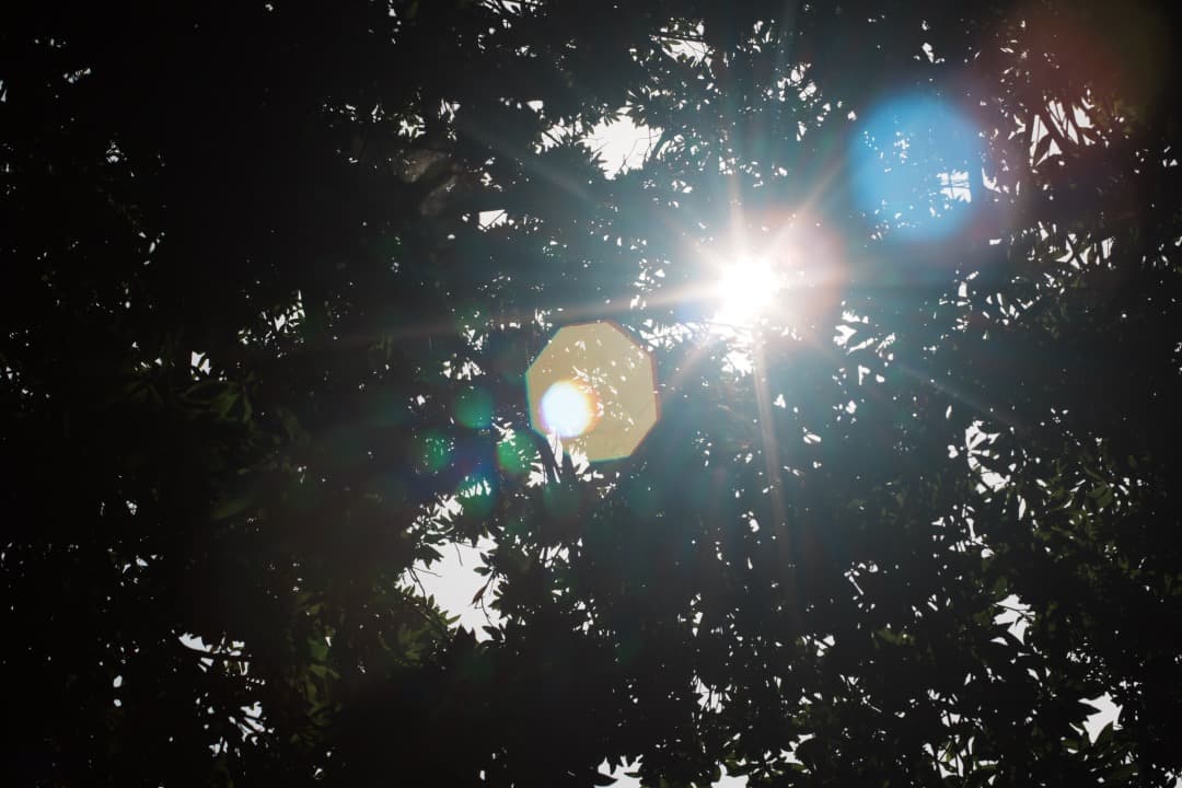 【鷹の目】ミノルタ MC-ROKKOR PG 58mm F1.2 前期 460