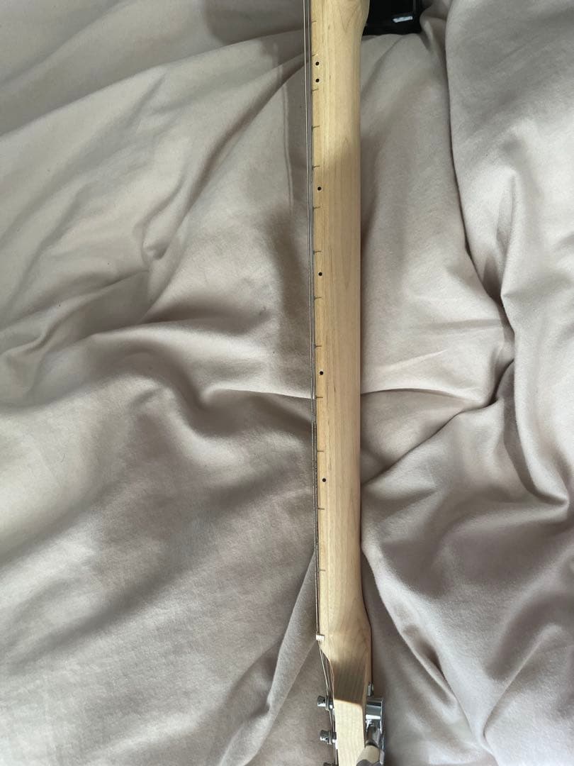 TT 田口達也サイン入りギター