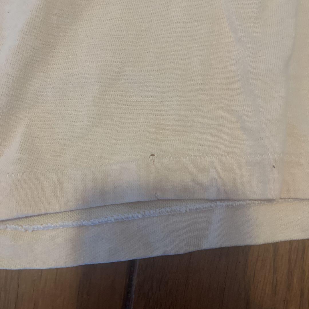 パタゴニア葛飾北斎 浮世絵スペシャルヴィンテージ染み込みプリント希少 Hanes