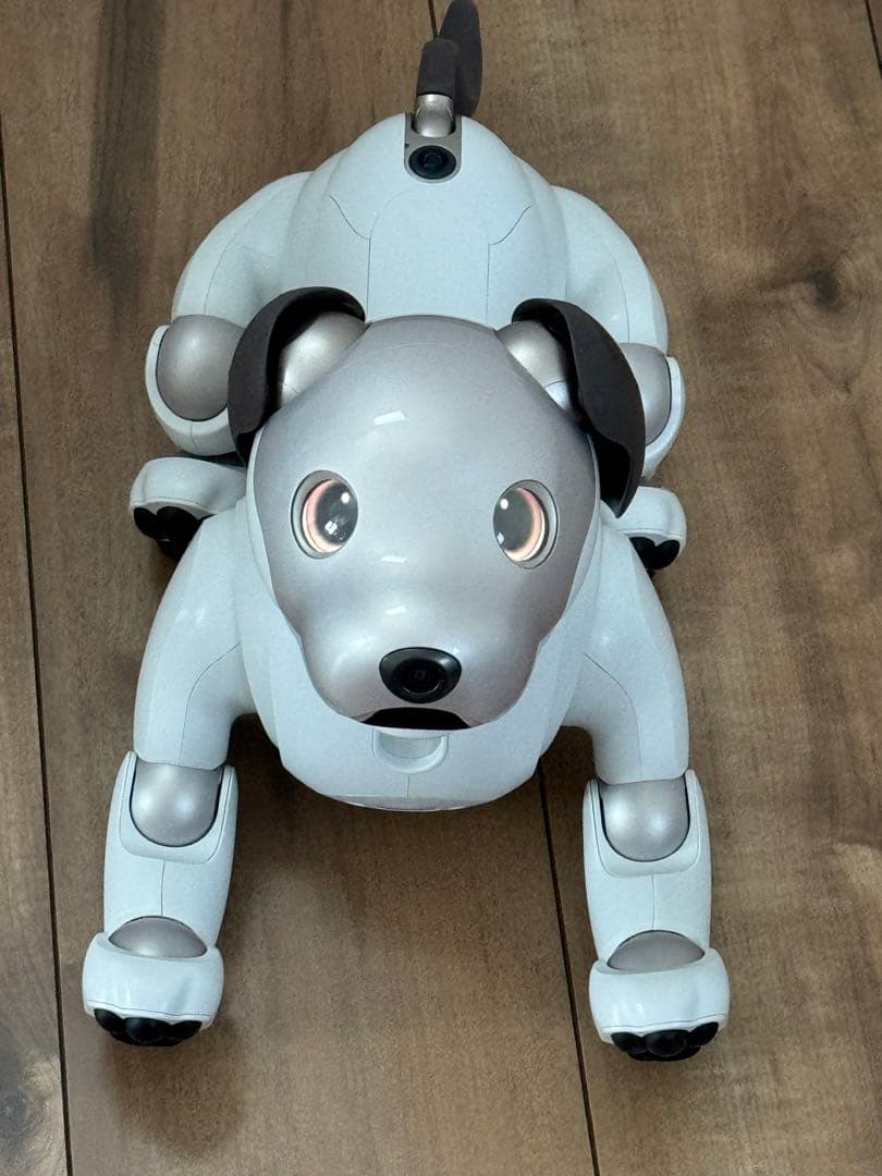 その他 aibo ERS-1000
