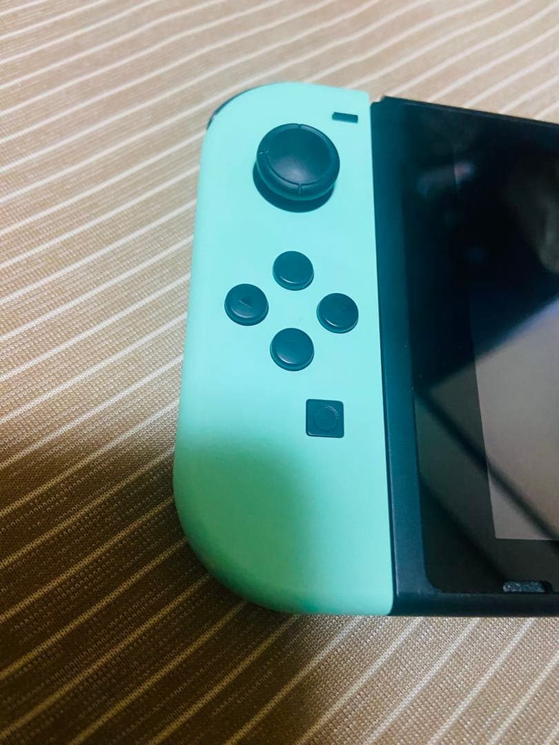 あつまれ どうぶつの森 Nintendo Switch 本体　セット