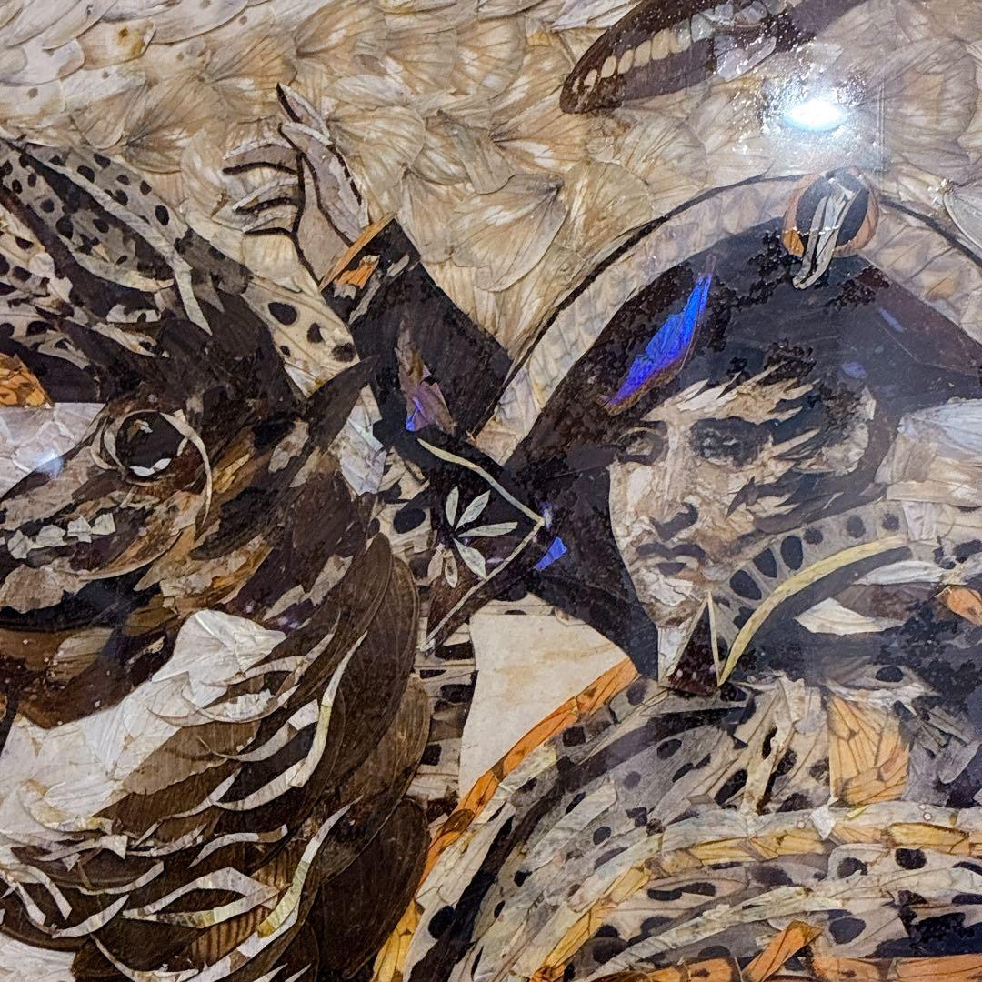 珍品 アンティーク 蝶画 羽 ナポレオン 特大サイズ ヴィンテージ レトロ 騎馬