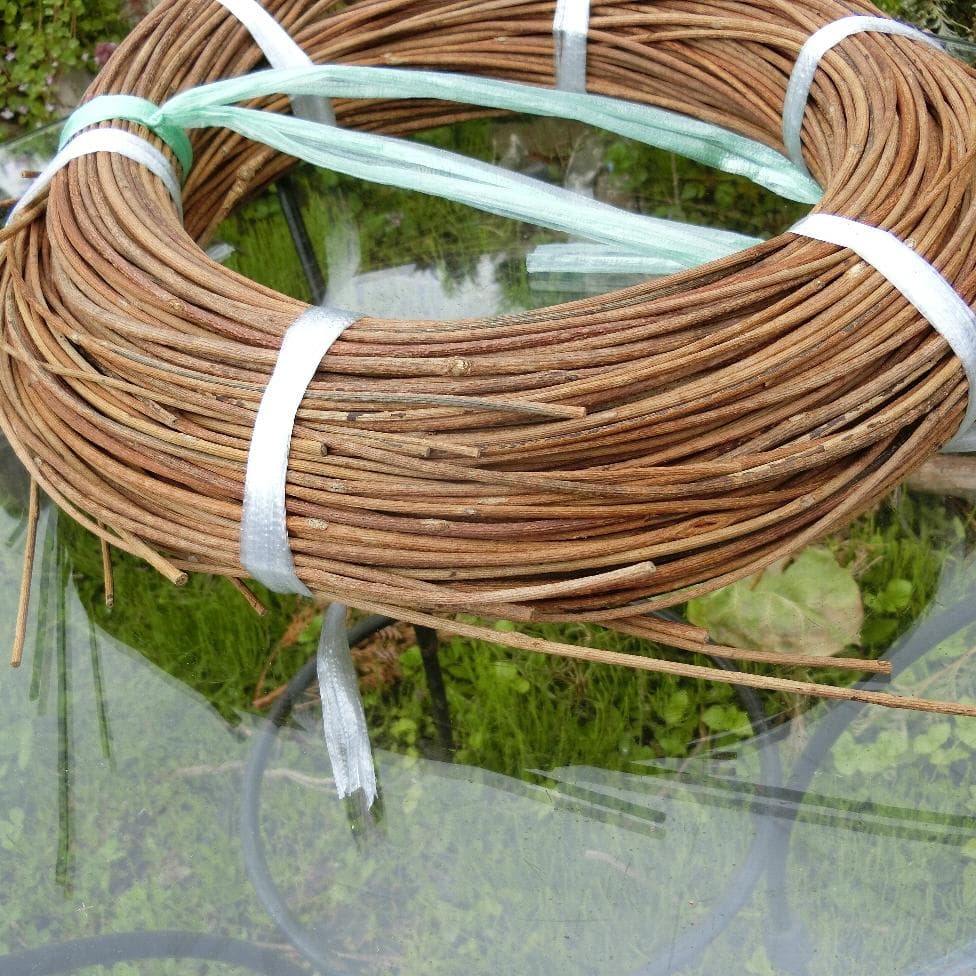 sonarcat　青森岩木山採取　あけび蔓　150cm～ 1kg