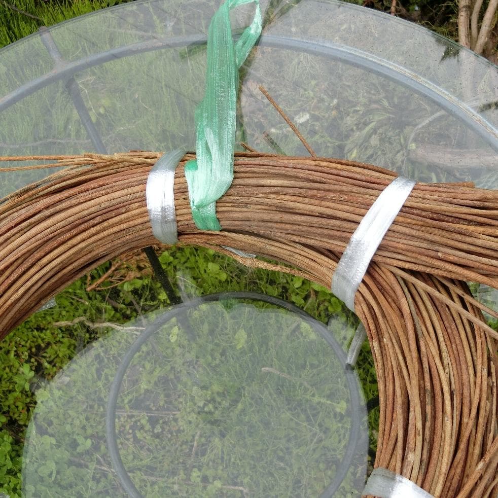 sonarcat　青森岩木山採取　あけび蔓　150cm～ 1kg