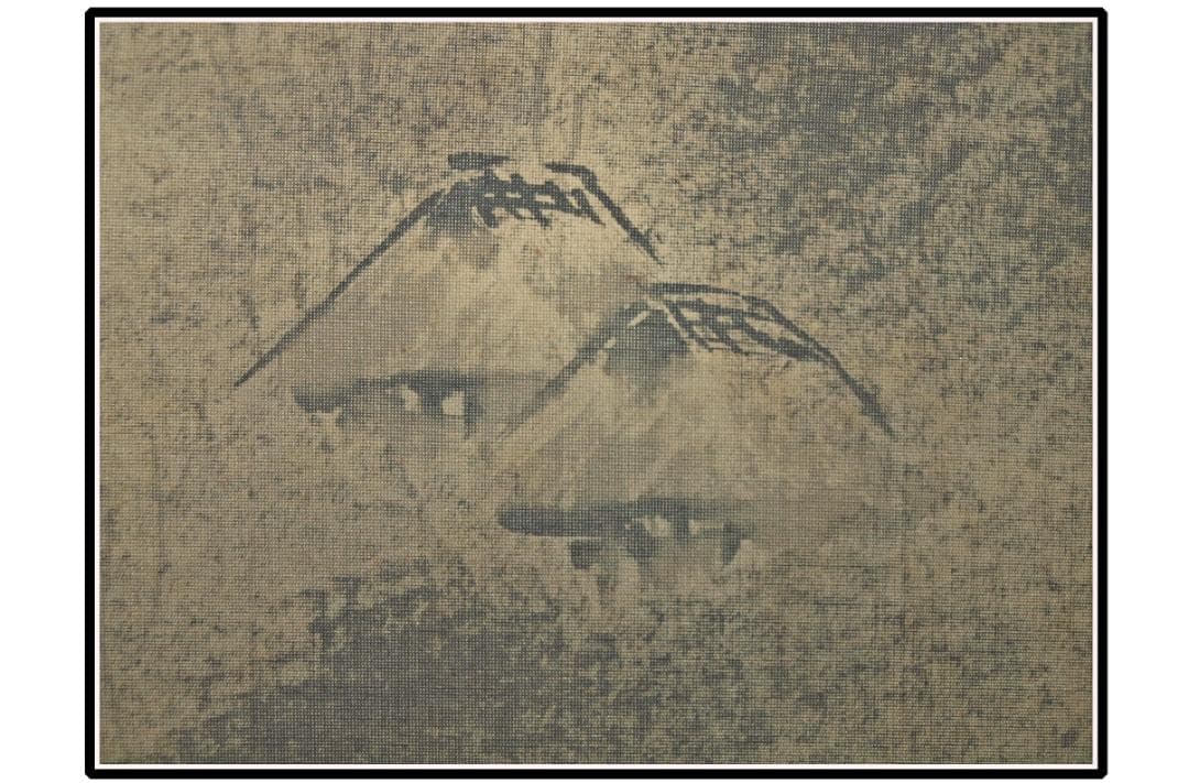 時代の掛軸　風景　肉筆保証　蔵整理不用品処理　中国美术品 X1093C16-9