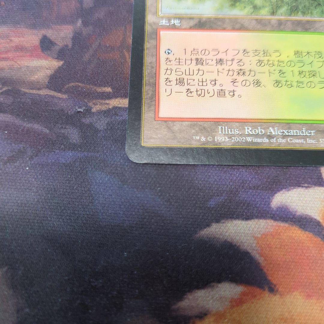 MTG　樹木茂る山麓　Wooded Foothills　ONS　日語