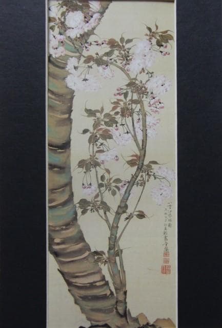織田瑟々、【八重伊勢桜図】、希少画集画より、状態良好、新品高級額装付