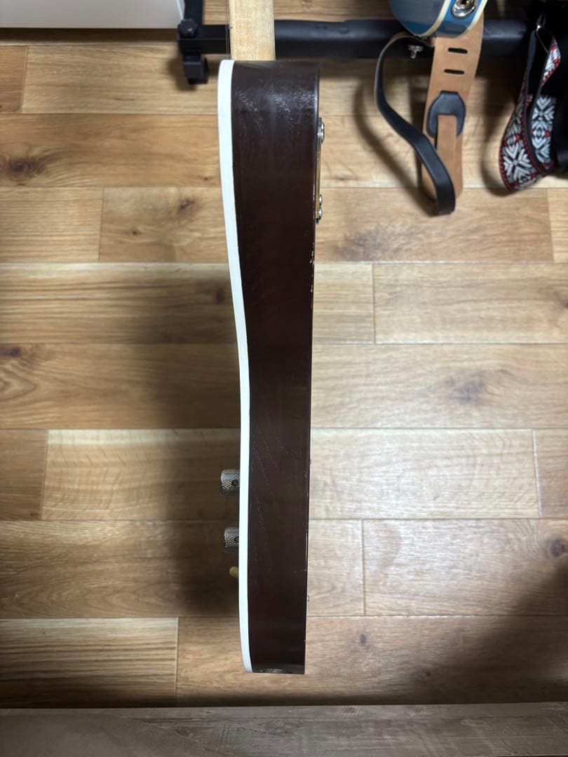 ギター hts guitar Reverse Telemaster thinline