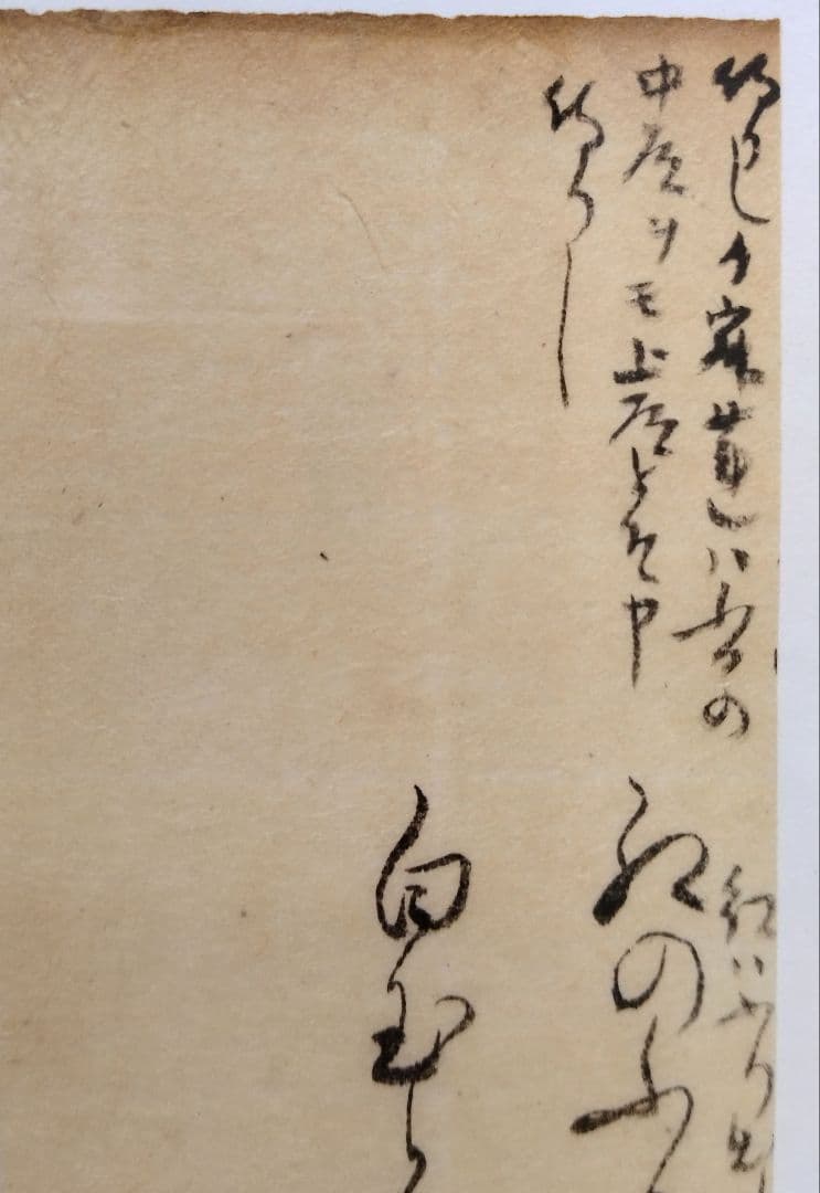 古今和歌集598〜600番★紀貫之 凡河内躬恒　松平不昧正室所蔵 茶道掛軸浮世絵