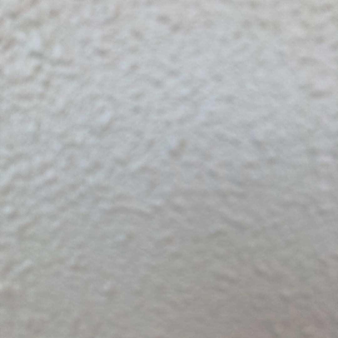 ポケモンカード コダック様