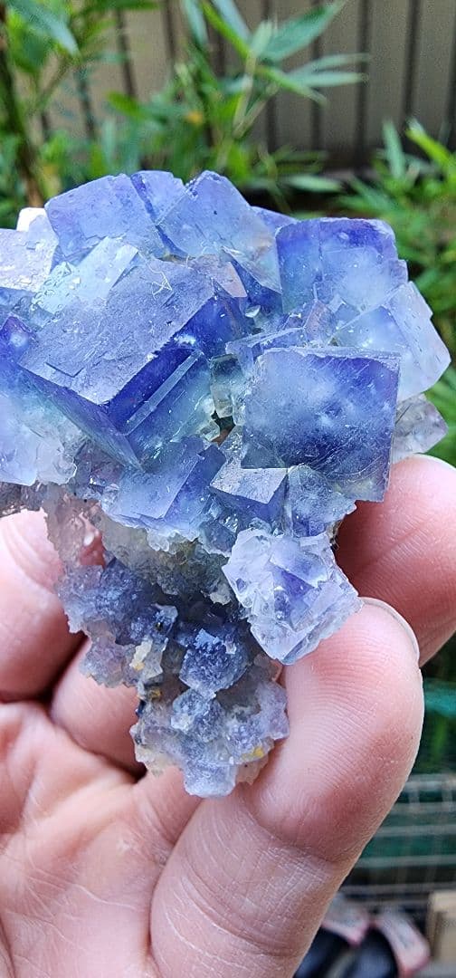 日光フローライト