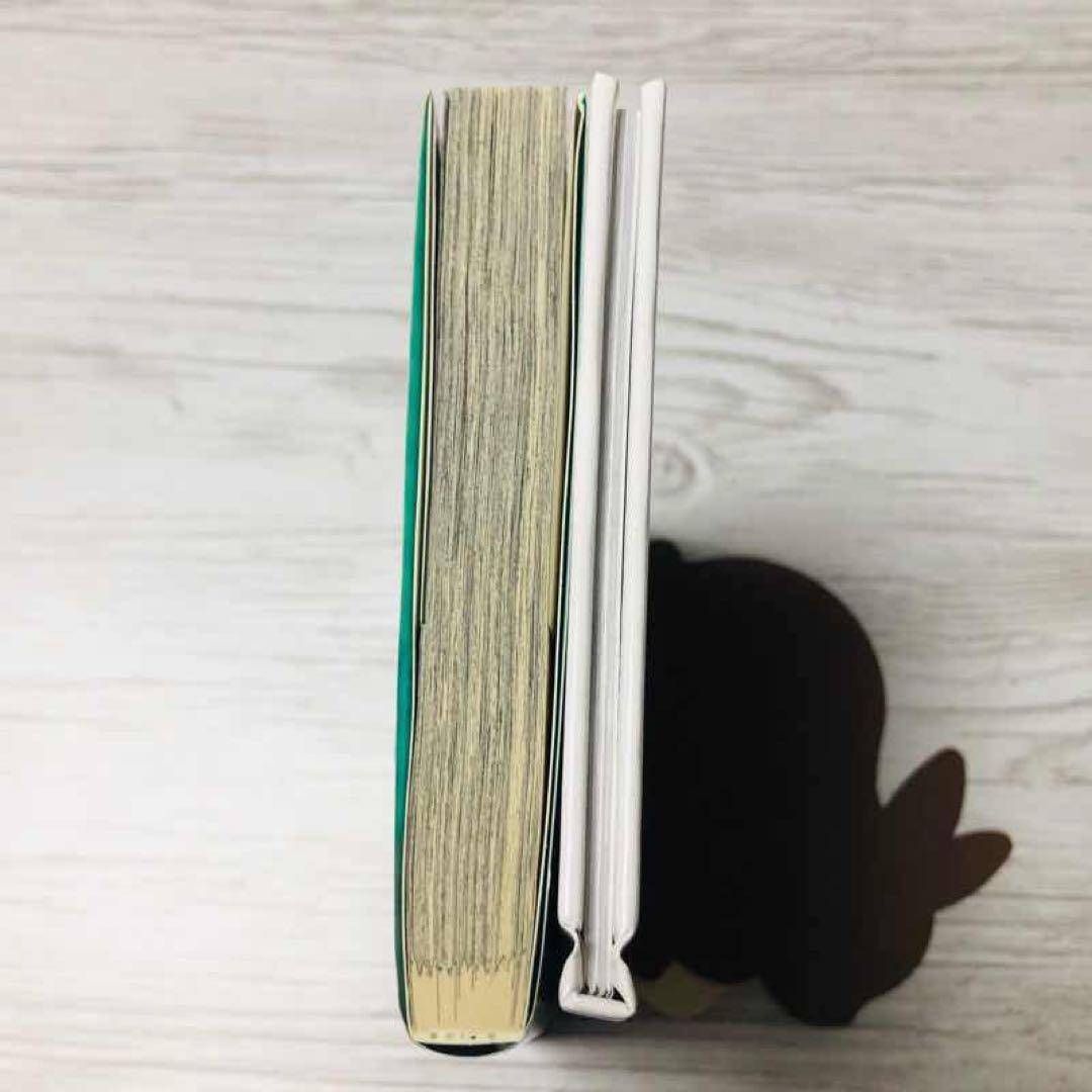 【メルカリ便】ヴァンパイア騎士　19巻　画集付き限定版