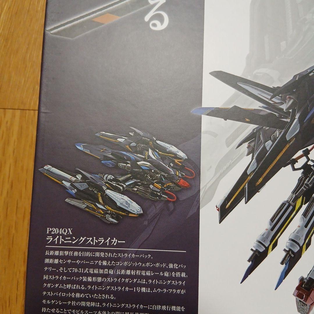 コミック・アニメ L BUILD P2040X LIGHTNING STRIKER