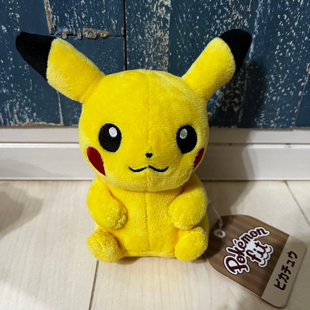 ぬいぐるみ ポケモン ポケモンセンター ポケセン Pokémon まとめ売り