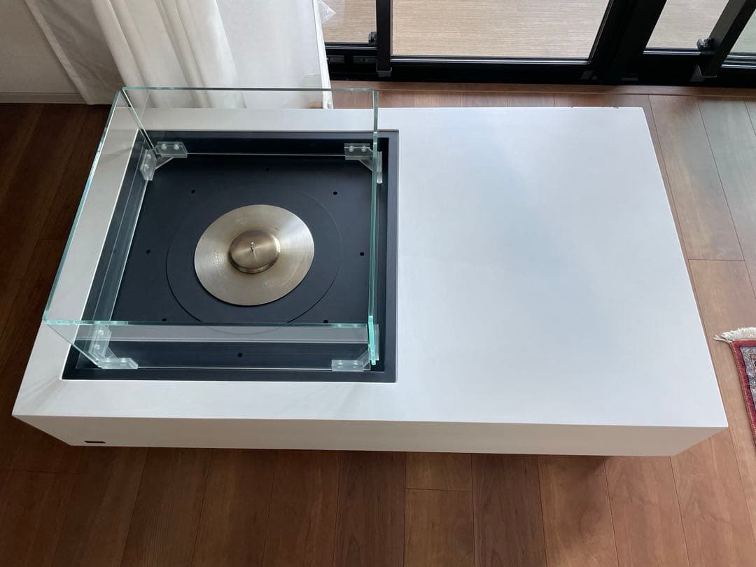 W342150 ⭐︎eco smart fire