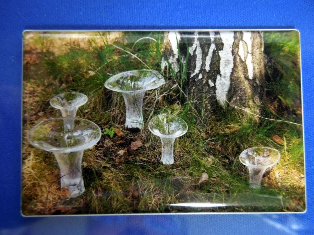 美術館グッズ【7808】　〈展覧会シリーズ〉イッタラ展　15種セット