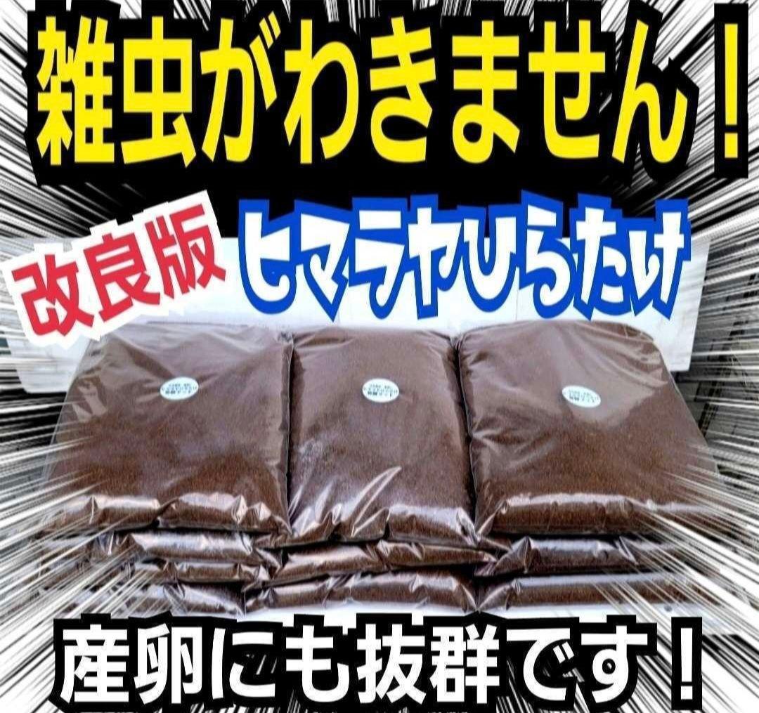カブトムシの産卵に抜群！ヒマラヤひらたけ発酵マット【60L】雑虫がわきません！